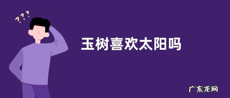 玉树喜欢太阳吗