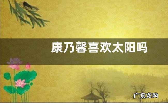 康乃馨喜欢太阳吗