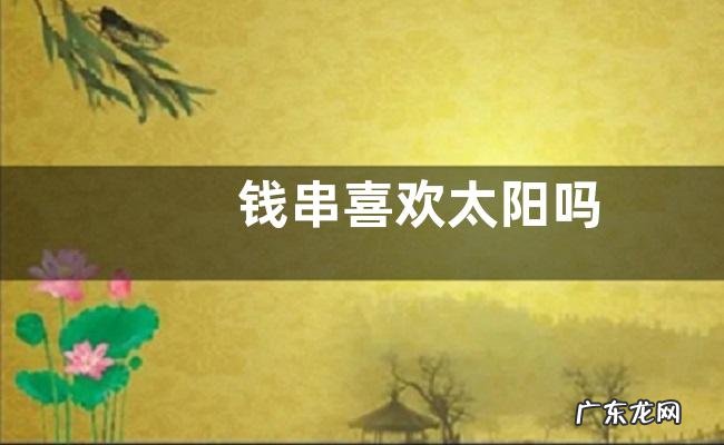 钱串喜欢太阳吗