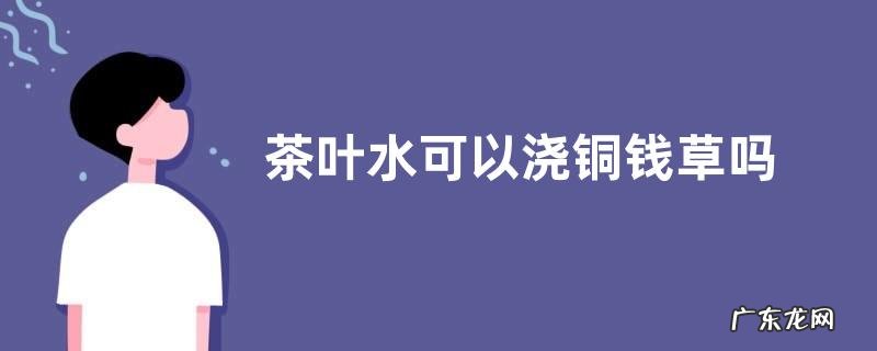茶叶水可以浇铜钱草吗