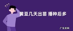 黄豆几天出苗 播种后多长时间出苗