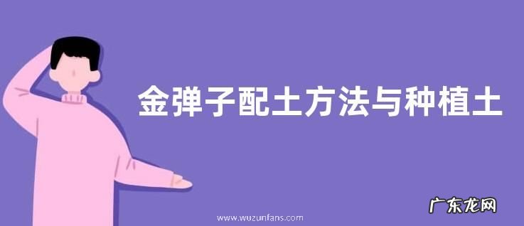 金弹子配土方法与种植土壤