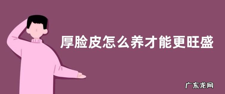 厚脸皮怎么养才能更旺盛