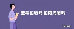 蓝莓怕晒吗 怕阳光晒吗
