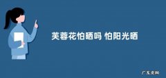 芙蓉花怕晒吗 怕阳光晒吗