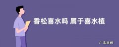 香松喜水吗 属于喜水植物吗