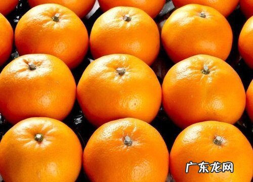 沃柑亩产量一般多少斤 种一亩沃柑一年赚多少