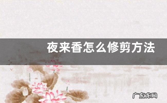 夜来香怎么修剪方法