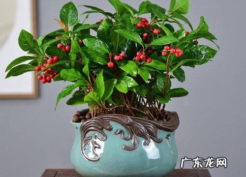 金玉满堂喜阴还是喜阳