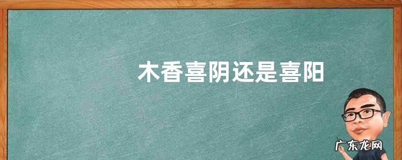 木香喜阴还是喜阳