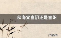 秋海棠喜阴还是喜阳