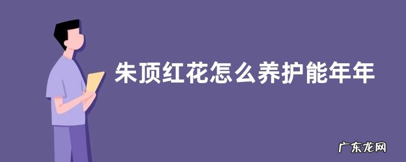 朱顶红花怎么养护能年年开花