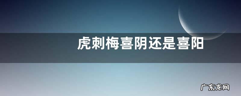 虎刺梅喜阴还是喜阳