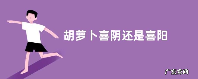 胡萝卜喜阴还是喜阳