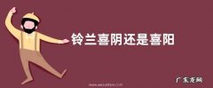 铃兰喜阴还是喜阳