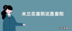 米兰花喜阴还是喜阳