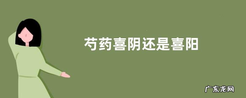 芍药喜阴还是喜阳