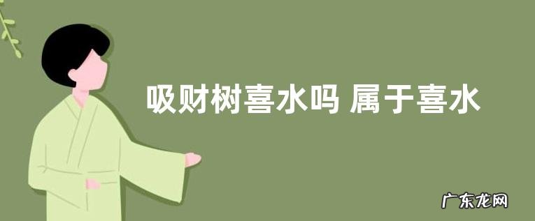 吸财树喜水吗 属于喜水植物吗