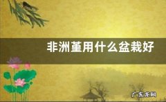 非洲堇用什么盆栽好