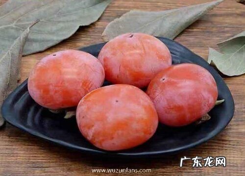 送客户水果送什么水果易接受 拜访送什么水果有档次