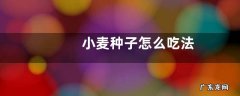 小麦种子怎么吃法