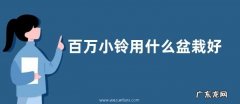 百万小铃用什么盆栽好