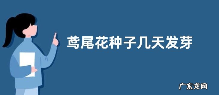 鸢尾花种子几天发芽