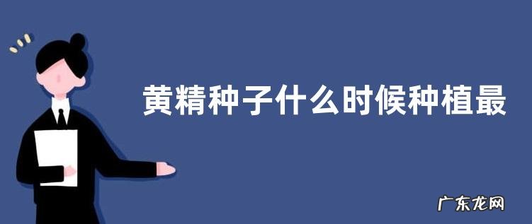 黄精种子什么时候种植最好