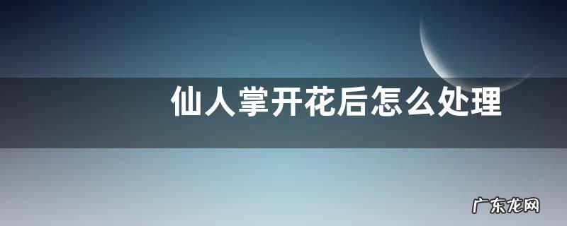 仙人掌开花后怎么处理