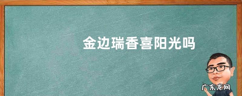 金边瑞香喜阳光吗