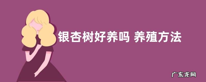 银杏树好养吗 养殖方法和养护要点