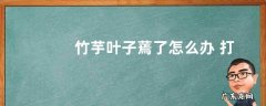 竹芋叶子蔫了怎么办 打蔫原因及补救方法