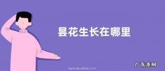 昙花生长在哪里