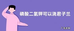 磷酸二氢钾可以浇君子兰吗