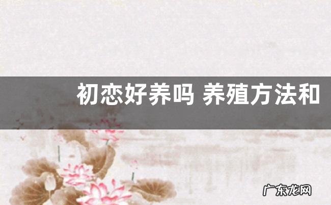 初恋好养吗 养殖方法和养护要点