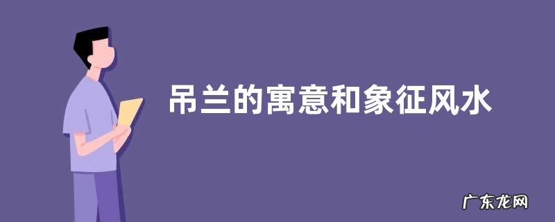 吊兰的寓意和象征风水