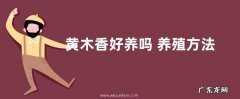 黄木香好养吗 养殖方法和养护要点