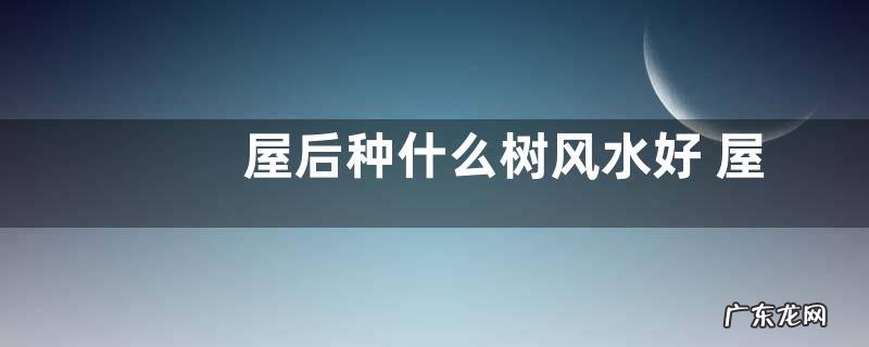 屋后种什么树风水好 屋子后面种树的风水
