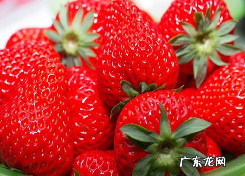 徐州盛产什么水果