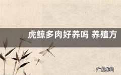 虎鲸多肉好养吗 养殖方法和养护要点