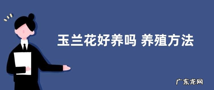 玉兰花好养吗 养殖方法和养护要点