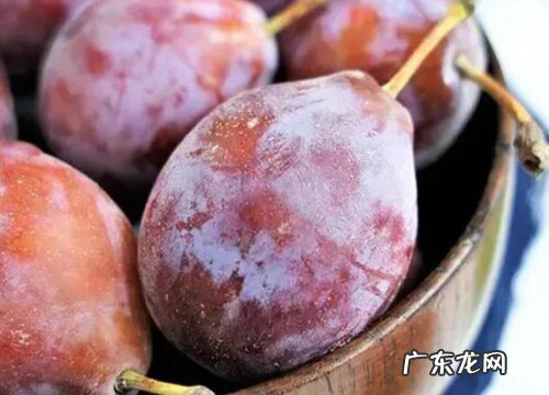 口感怎么样 西梅好吃吗 新鲜西梅什么味道