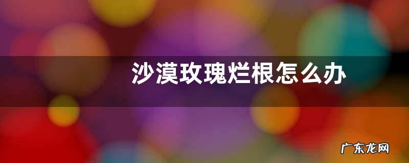 沙漠玫瑰烂根怎么办