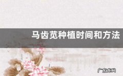 马齿苋种植时间和方法