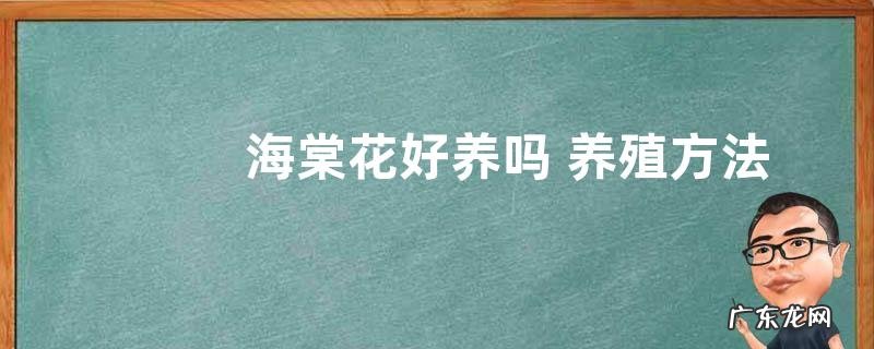 海棠花好养吗 养殖方法和养护要点