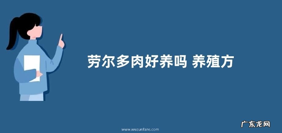 劳尔多肉好养吗 养殖方法和养护要点