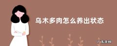乌木多肉怎么养出状态