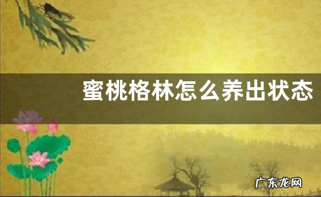 蜜桃格林怎么养出状态