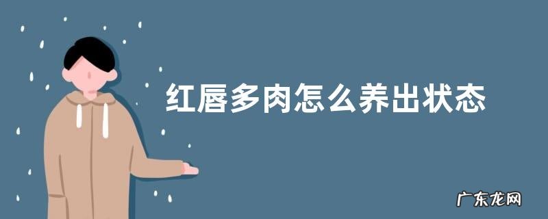 红唇多肉怎么养出状态