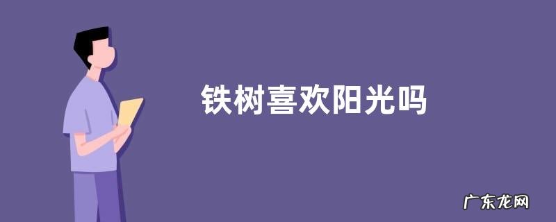 铁树喜欢阳光吗